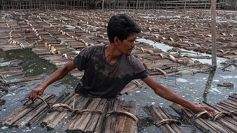 Broom makers, families fear 
displacement from bridge project