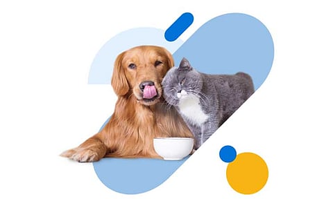 MORE FURRY LOVE. Give your furry besties the love and security they deserve with BDO Insure Pet Dog and Cat Insurance. (Photo courtesy of BDO)