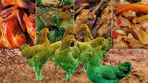 Why 'Manok Bisaya' dishes leave the Cebuano table