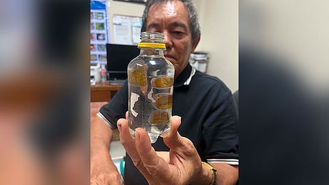 Beach goer sa Lapu gipasidan-an sa gagmay’ng bokya nga midagsa
