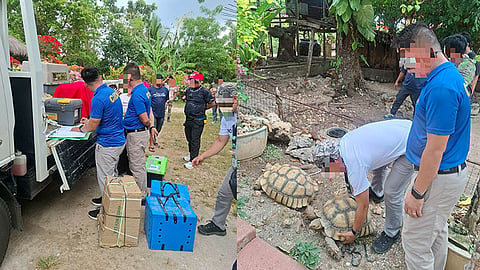 Wildlife species rescued in Medellin