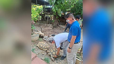 Exotic nga kahayupan sa resort gisakmit