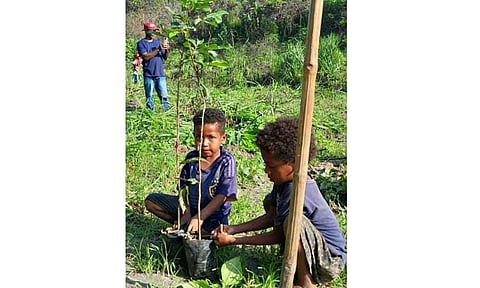 Volunteers plant trees during Pinatubo Day
