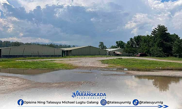 Floridablanca LGU acts on fly infestation complaints