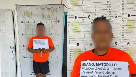 Delivery rider arrested on theft warrant