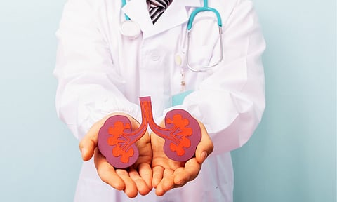 Health experts warn of rising kidney disease 