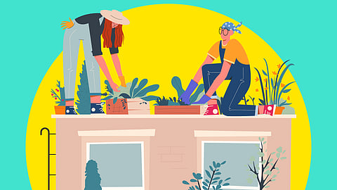 Urban gardening? Its possible with a small space