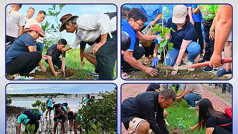 Iloilo City’s I-Greens Program plants over 19,000 trees, mangroves