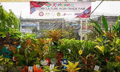 More Dabawenyos are showing interest in gardening and floriculture, as flower growers and enthusiasts gather along the Davao City Coastal Road-Tulip Drive for this year's Kadayawan Floriculture Agri Trade Fair, where the Floriculture Industry of Davao Inc. (Fidi) is also pushing for wider recognition of the waling-waling as the country's national orchid.