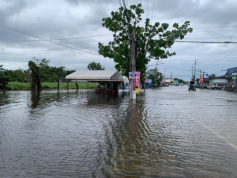 Photos by Art Consuelo/CLTV 36 News