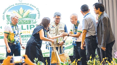 Cebu eyes bigger corn industry to boost farmer income