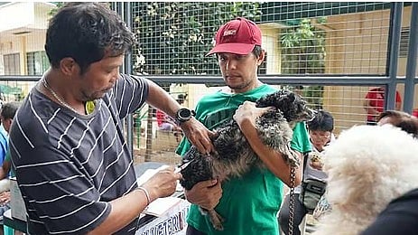 PVO: 104,864 ka iro, iring nabakunahan 