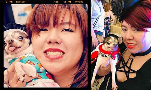 Teacher Maita Rue shares lessons on pet ownership, grief, and caring for senior dogs as she remembers her miniature Chihuahua.