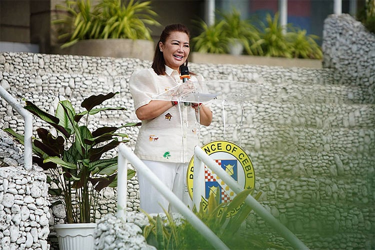 Baricuatro urges LGUs to adopt FOI policy