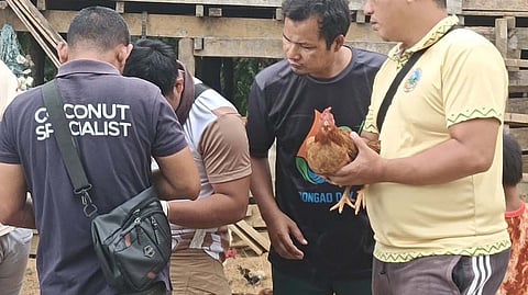Mafar-Barrm conducts animal disease surveillance in Tawi-Tawi