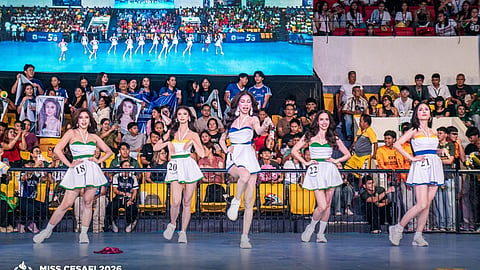 Greyhounds claw back from deficit for rousing Cesafi debut