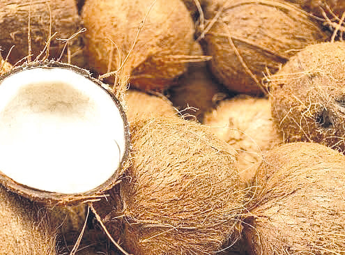 DTI pushes high-value coconut products as exports surge