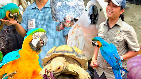 Beyond the petting: Meeting animals on their terms