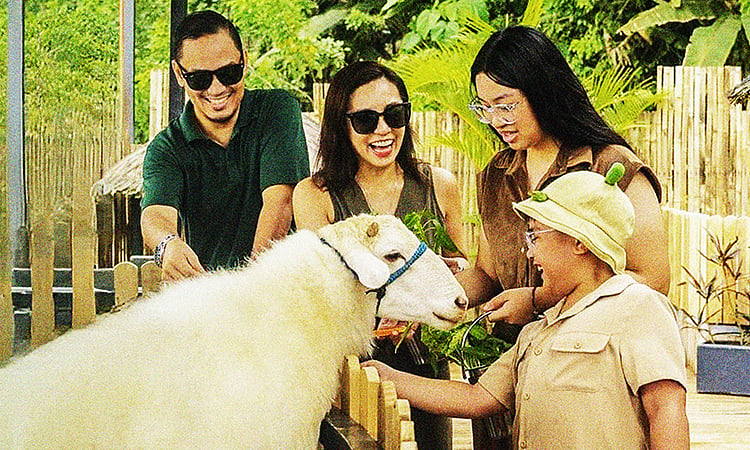 Beyond the petting: Meeting animals on their terms