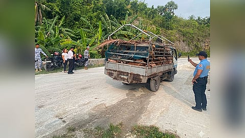 Shipment sa buhi’ng baboy gibabagan sa Moalboal