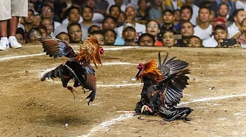 Operasyon vs. illegal nga sugal 
hingusgan sa Syudad sa Sugbo