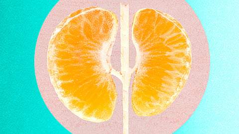 8 golden rules for kidney health