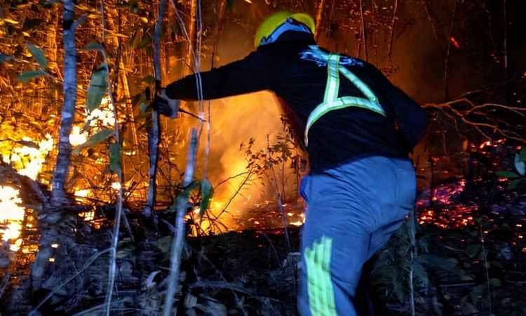 DENR warns of rising forest fire risks