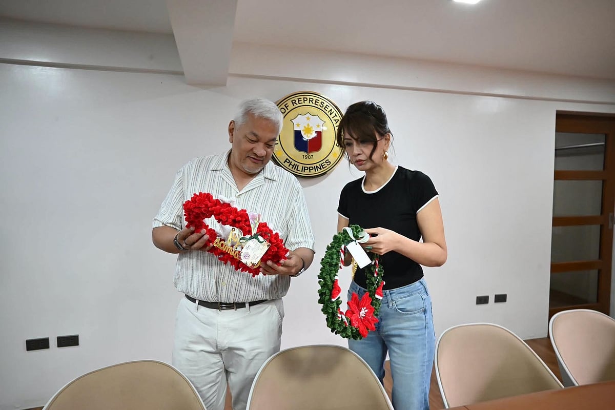 Solon supports local Christmas decorations