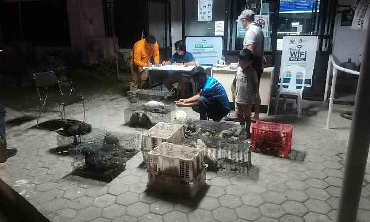 DENR nabs 55 traders, seizes 394 wildlife in 2026 operations