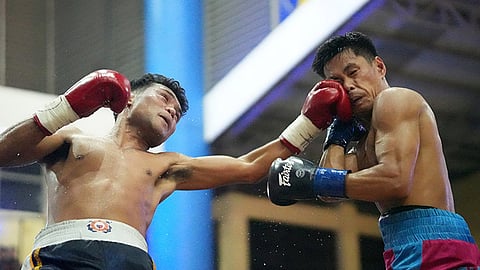 PMI Boxers nangharos