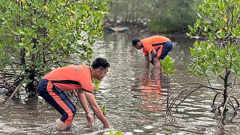 PCG personnel plant 450 mangroves in Basilan 