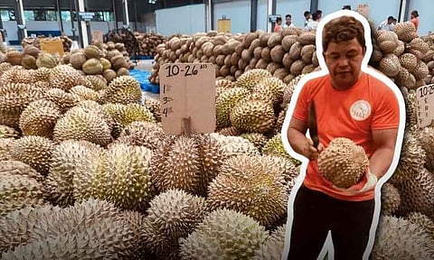 SORTING FOR EXPORT. A worker checks fresh durian at Maylong Enterprises Corp. in Davao City to classify the fruit as Class A, B or C during a media tour on Oct. 22, 2025. Class A durian is selected for export, including shipments to China. 