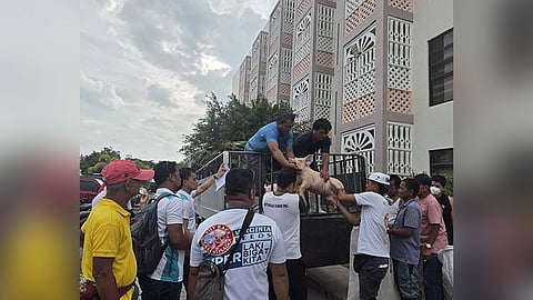 Carcar mitabang sa mga nagbuhi og baboy