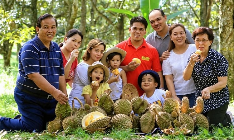 The farmer's gamble: Davao’s durian growers ask if bigger markets will bring better returns