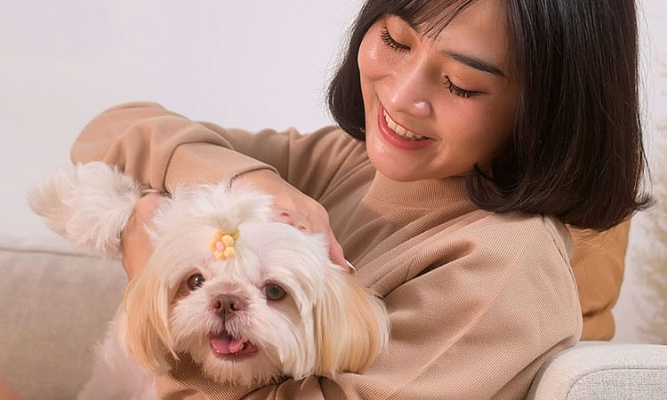 Philippines: Veterinary students encouraged to create solutions for pet care challenges