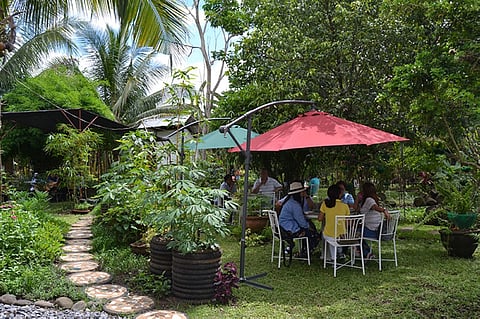 DAVAO. At Huni Farm, the place is filled with different herbs, fruit bearing trees, flowering plants, and other kinds of plants giving the farm a refereshing and cool atmosphere. (RJ Lumawag)