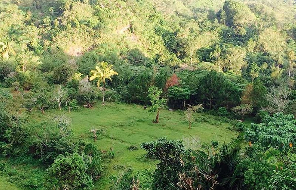 NCIP-Davao warns anew against buying ancestral domain lands