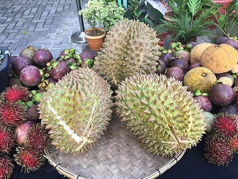 Cagro intensifies PhilGAP certification 
for Davao City durian exports