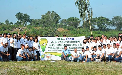 FOR THE ENVIRONMENT. PELCO I employees pose for posterity after their tree-planting activity at Mexico, Pampanga. (Photo courtesy of DPL)