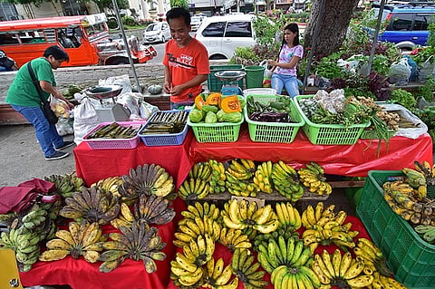DAVAO. The Pilipino Banana Growers and Exporters Association said there is a high demand for saba bananas in the export market. (File photo)