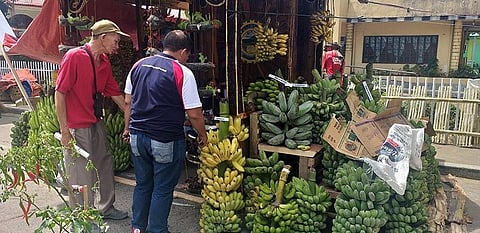 NEGROS. ONE of the booths showcasing various varieties of banana at the ongoing 22nd Banana Festival in La Castellana town, Negros Occidental. (Erwin Nicavera)