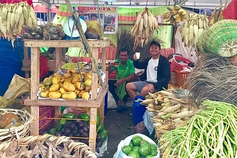 BACOLOD. One of the booths showcasing Negrense products, mostly organic and naturally-grown, at the just-concluded People's Organization Product Selling at the Capitol Grounds in Bacolod City. (Contributed photo)