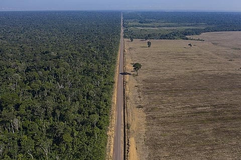 BRAZIL. In this November 25, 2019 photo, highway BR-163 stretches between the Tapajos National Forest (left) and a soy field in Belterra, Para state, Brazil. Carved through jungle during Brazil's military dictatorship in the 1970s, this highway and BR-230, known as the Trans-Amazon, were built to bend nature to man's will in the vast hinterland. Four decades later, there's development taking shape, but also worsening deforestation. (AP)