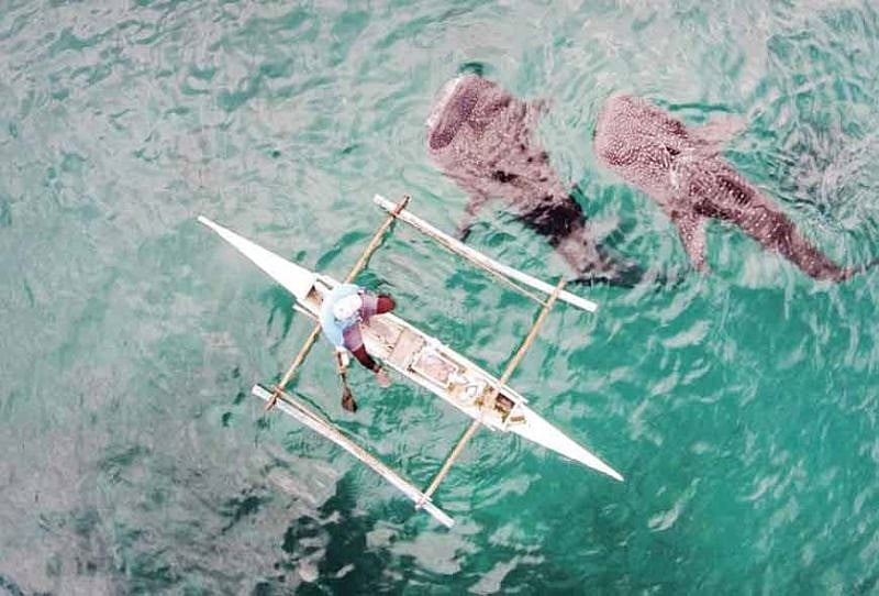 Domestic Travel Boosts Cebu Tourism in Q1 2026