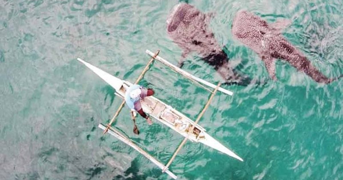 Domestic Travel Boosts Cebu Tourism in Q1 2026