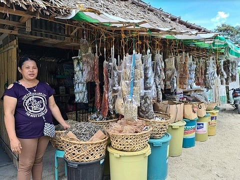  Dried fish vendors showcase their products at Punta Cabahug, Barangay Zone 6, Cadiz City. (Carla N. Cañet)
