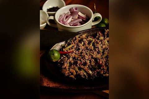 Doctors who cook share recipes in a book