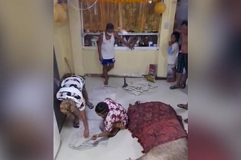Hulagway iya ni Evelyn Vitor Andrade