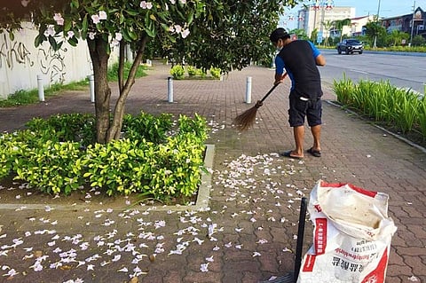 Photo by Iloilo City Government Beautification Program
