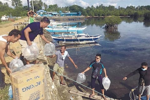 TILAPIA BOOM. The personnel of Bureau of Fisheries and Aquatic Resources 7 and Clarin Freshwater Fish Farm in Bohol deliver tilapia fry to Cebu on Nov. 6, 2020. (From Facebook page of BFAR 7)